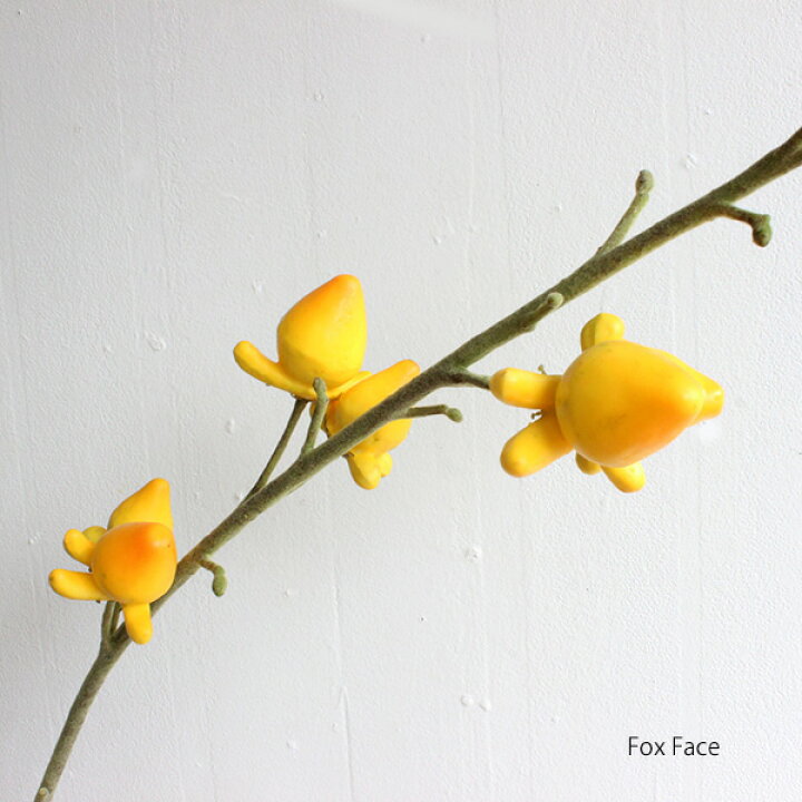 楽天市場 フォックスフェイス 造花 フェイクグリーン フェイクフラワー ツノナス フェイクグリーンのお店 Mintcafe 楽天市場 フォックスフェイス 造花 フェイクグリーン フェイクフラワー ツノナス フェイクグリーンのお店 Mintcafe