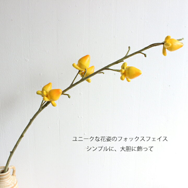楽天市場 フォックスフェイス 造花 フェイクグリーン フェイクフラワー ツノナス フェイクグリーンのお店 Mintcafe