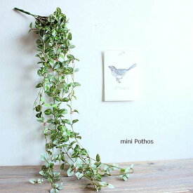 ミニポトスハンギングブッシュ 造花 フェイクグリーン かわいい 丸い 葉っぱ 吊り下げ 垂らす ボリューミー ディスプレイ 装飾 オリジナル