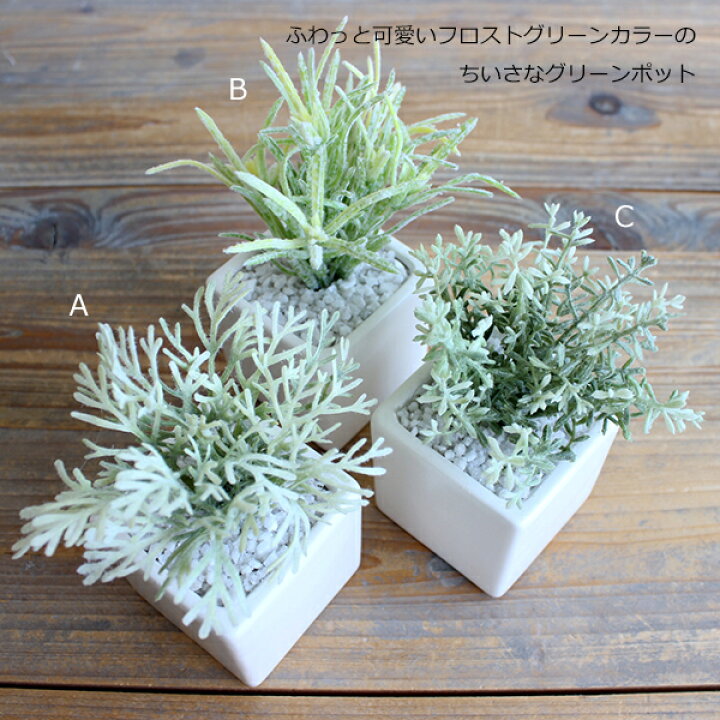 ミニグリーンスクエア/フロストグラス 造花 フェイクグリーン CT触媒 観葉植物 フェイクグリーンのお店 mintcafe 造花 アスカ コキアピック フロストグリ−ン A-42621-051F 造花葉物、フェイクグリーン 多肉植物