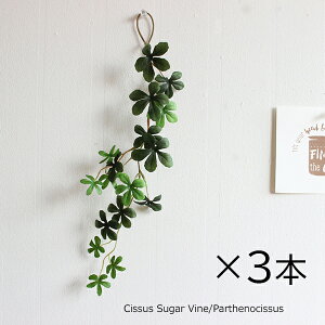 i 3{Zbg S~jVTXACr[oC VK[oC45cm p[ZmVbTX 00543  tFCNO[ O[CeA A ][gCeA A[eBtBVO