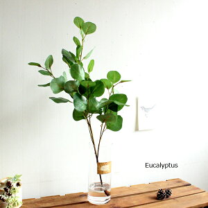 }WJEH[^[AW ۗt[J CgO[H65cm  tFCNO[ CTG} L  (kC  LjztFCNO[ O[CeA A A[eBt