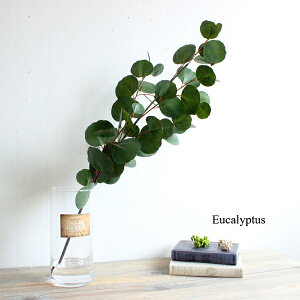 }WJEH[^[AW [J H55cm  tFCNO[ AW CeA CTG}  (kC  LjL A i` ][gCeA A[eBtBV