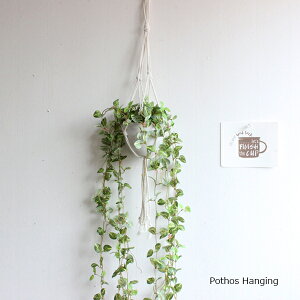 |gXnMO mini 90cm  ϗtA CeA L CTG} tFCNO[ nMOO[ ݂艺@vgnK[ 킢 ۂ t 炷 {[~[ fBXv