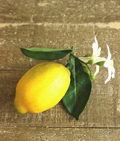 レモン 花つき Lemon 造花 雑貨 インテリア 造花 インテリア ガーデン雑貨 リアル ミニ 野菜 フルーツ かわいい おすすめ 食品サンプル ディスプレイ用