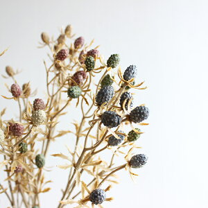 ؂ GWE hC^b`  tFCNt[ O[CeA A A[eBtBVt[ CeAG IuWF JtF i` fBXvC