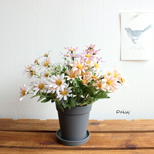 f[W[ubV  tFCNt[ i` O[CeA A A[eBtBVt[ CeAG IuWF JtF i` fBXvC ԑ u[P 