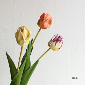 ݌ɏ`[bv 48cm  CeA tFCNt[ i` O[CeA A A[eBtBVt[ CeAG IuWF JtF i` fBXv