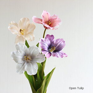 ݌ɏ I[v`[bv 57cm  CeA tFCNt[ A[eBVt[ i` O[CeA A CeAG IuWF JtF i` fBX