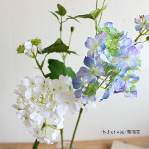 yZ[iznChWA   tFCNt[ O[CeA A A[eBtBVt[ CeAG IuWF JtF i` fBXvC