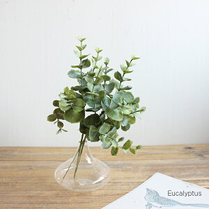 [Jo` 13{  tFCNO[ tFCNt[ O[CeA A A[eBtBVt[ CeAG IuWF JtF i` fBXvC