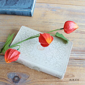 ホオズキ(葉付き)51cm 造花 ほおずき 鬼灯 フェイクフラワー フェイクグリーン ナチュラル グリーンインテリア リアル アーティフィシャルフラワー インテリア雑貨 オブジェ カフェ ナチュラ