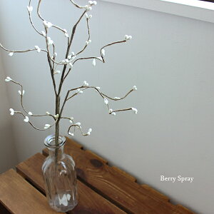 zCgx[Xv[ 60cm  tFCNO[ tFCNt[ i` O[CeA A A[eBtBVt[ CeAG IuWF k JtF i`