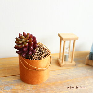 ~jZ_sbN  tFCNO[ A O[CeA A A[eBtBVt[ CeAG IuWF JtF i` fBXvC