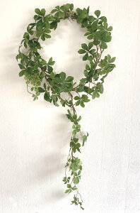 ~jVTXACr[K[h 168cm VK[oC XvOO[  tFCNO[ O[CeA A ][gCeA A[eBtBVO[ CeAG