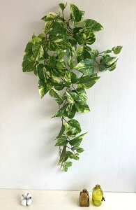 A |gXK[h tFCNO[ 150cm  CeA L CTG} ۂ t ݂艺 炷 {[~[ fBXvC  IWi tbV A GARzǉB