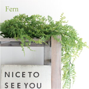 t@[nMOubV 78cm  L CeA Ǌ|  CTG} tFCNO[ L   A JtF  rO Lb` 킢 ݂艺 炷 fBXv