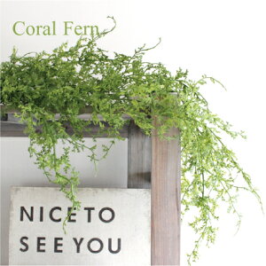 R[t@[nMOubV 85cm  L CeA Ǌ|  CTG} tFCNO[ L   A JtF  rO Lb` 킢 ݂艺 炷 