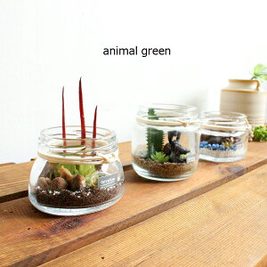 ؂ animal green eEiCI S Joj AW tFCNO[ Aj}  tBMA O[CeA A A[eBtBVt[ CeAG 