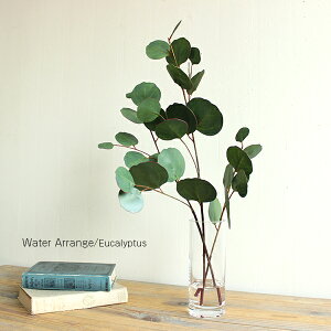 }WJEH[^[AW [J H45cm  tFCNO[ CTG} L A i` ][gCeA A[eBtBVt[ CeAG IuWF JtF AWA