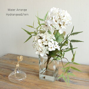 }WJEH[^[AWt@[ H32cm  tFCNt[ CTG} L A i` ][gCeA A[eBtBVt[ CeAG IuWF J