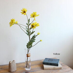 }WJEH[^[AW CG[f[W[ H53cm  tFCNt[CTG} L A ][gCeA A[eBtBVt[ CeAG IuWF JtF AWA 