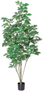 ySALE ʌzasca ϗtA VFt / J|bN 148cm |bgt  (ʏ퉿i 29700~) tFCNO[ lHϗtA fBXvC  Ԕ A