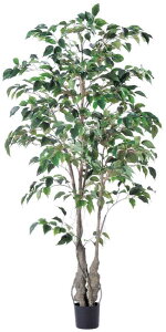 ySALE ʌzasca ϗtA tBJX / xW~ 152cm |bgt  (ʏ퉿i 34100~) tFCNO[ lHϗtA fBXvC  Ԕ A