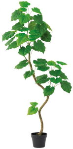 ySALE ʌzasca ϗtA Ex[^ 150cm |bgt  (ʏ퉿i 30800~) tFCNO[ lHϗtA fBXvC  Ԕ A