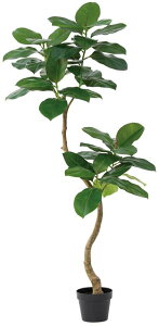 ySALE ʌzasca ϗtA S̖ 150cm |bgt  (ʏ퉿i 34100~) tFCNO[ lHϗtA fBXvC  Ԕ A