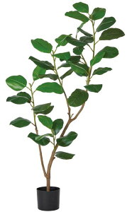 ySALE ʌzasca ϗtA S̖ 146cm |bgt  (ʏ퉿i 26400~) tFCNO[ lHϗtA fBXvC  Ԕ A