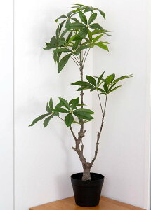 ySALE ʌzϗtA pL |bgt  (ʏ퉿i 13200~) tFCNO[ lHϗtA fBXvC  Ԕ A