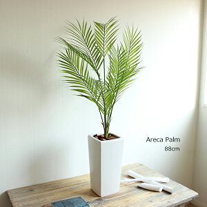 AJV AJp[ H88cm  [bsOEjD] tFCNO[ lHϗtA CTG} L fBXvC  IWi A j j JX J Vz (kC 