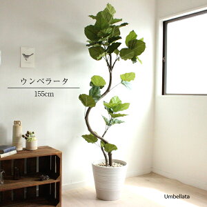 tBJXEEx[^ H155cm White  [bsOEjD] ϗtA tFCNO[ ^ IWi j j JX J Vz  (kC k  Lj