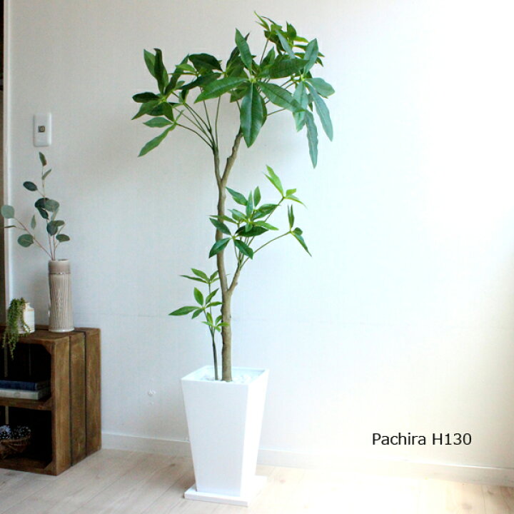 楽天市場 パキラ 130cm 白鉢 K 1 造花 観葉植物 Ct触媒 消臭 抗菌 防カビ効果 大型 人工観葉植物 フェイクグリーン 送料無料 北海道 東北 沖縄 別途有料 開店祝い 引越し祝い 新築祝い お祝い 会社 事務所 自宅 飾り ギフト おしゃれ フェイクグリーンのお店 Mintcafe