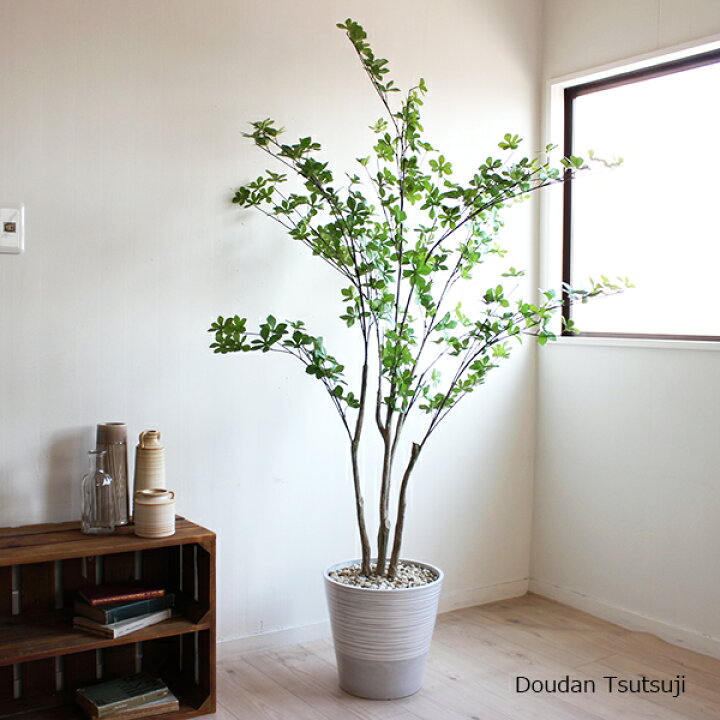 楽天市場 ドウダンツツジ 150cm 人工観葉植物 造花 インテリア フェイクグリーン Ct触媒 消臭 抗菌 防カビ効果 重要 北海道 沖縄 送料別途 4000円 東北 送料別途 00円 フェイクグリーンのお店 Mintcafe