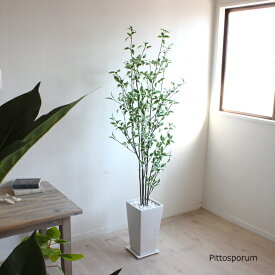 ピットスポラム 145cm 造花 観葉植物 人工観葉植物 CT触媒 消臭 大型 フェイクグリーン (北海道 東北 沖縄 離島 送料別途)