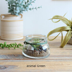 ؂ animal green eE S  i` O[CeA A A[eBtBVt[ CeAG IuWF JtF i` fBXvC tFCNO