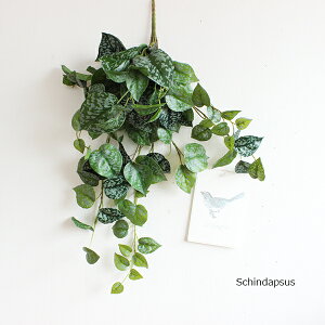 XL_vTXoC 66cm  tFCNO[ O[CeA A ubV^Cv ][gCeA A[eBtBVO[ CeAG IuWF JtF AWA 