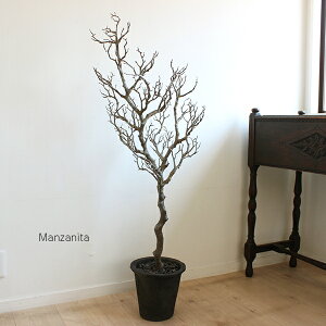 }Uj[^ H125cm  tFCNO[ ϗtA CTG} L (kC  ʓr +4000~ k ʓr +2000~)O[CeA A ][gCeA A[eBtBVO