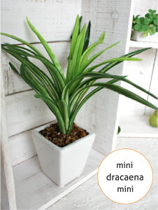 ~j~jhZi 22cm   G} CTG} L tFCNO[ O[CeA A ][gCeA A[eBtBVO[ CeAG IuWF JtF k 