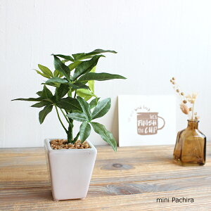 yԌ SALEz~jpL 20cm  tFCNO[ CTG} L ϗtA fBXvC  IWi A