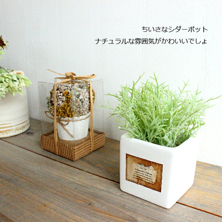 市場】ミニシダーポット 多肉植物 造花 インテリア CT触媒 フェイクグリーン : フェイクグリーンのお店 mintcafe 市場】ミニシダーポット 多肉植物 造花 インテリア CT触媒 フェイクグリーン : フェイクグリーンのお店 mintcafe
