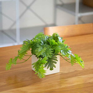 tBfh W40cm  CTG} L tFCNO[ ϗtA lHϗtA 킢 ۂ t fBXvC  IWi