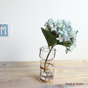 }WJEH[^[AW u[H27cm  tFCNt[ CTG} L A ][gCeA A[eBtBVt[ CeAG IuWF JtF AWA 