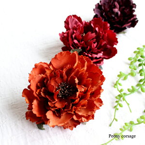 ؂ AWsIj[RT[W   čՂ wAANZT[ a  䂩  tFCNt[  Ǝ  w  \