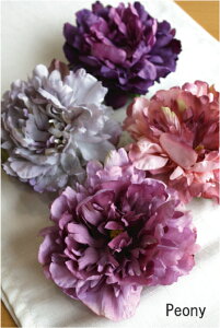 ؂ ӂӂ sIj[̃RT[W p[vC   čՂ wAANZT[ a  䂩   Ǝ  w  \