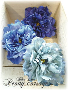 ؂ ӂӂ sIj[̃RT[W u[C   čՂ wAANZT[ a  䂩  葲 Ǝ  w  \