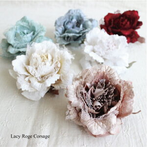 ؂ Lacy [V[[YRT[W   čՂ wAANZT[ a  䂩  tFCNt[  Ǝ  w  \