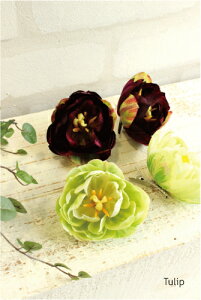 ؂ `[bvRT[W   čՂ wAANZT[ a  䂩  tFCNt[  Ǝ  w  \